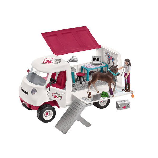 Vétérinaire mobile avec poulain