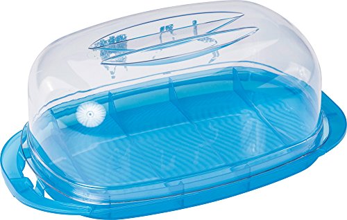 Rotho cloche fresh 29 x 17 x 10,5 cm