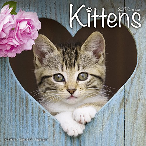 Calendrier 2017 - Kittens/Chatons