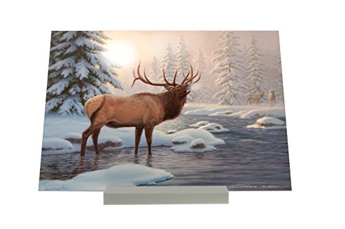 Cadre Photo Nostalgique Ruisseau de la forêt de...