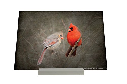 Cadre Photo Oiseau Cardinal rouge Publicité Pia...