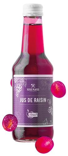 TÊTES PLATES JUS DE FRUITS BIO code EAN 4065895 