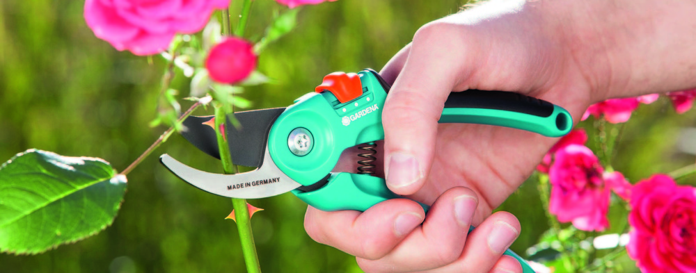 SÉCATEUR À LAME FRANCHE