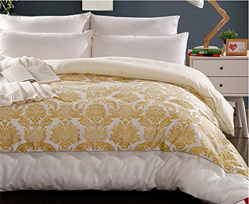 Couette d'hiver Couvre-lit en coton chaud ( cou...