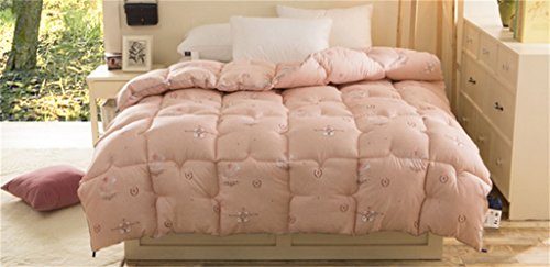 Édredon d'hiver Coton chaud Édredon Étudiant Individuel Double ( couleur : #1 , taille : 180*220cm 2.5kg ) 4206078434280 Lxl-quilt Édredon d'hiver Coton chaud Édredon Étudiant Individuel Double ( couleur : #1 , taille : 180*220cm 2.5kg ) 4206078434280 Lxl-quilt