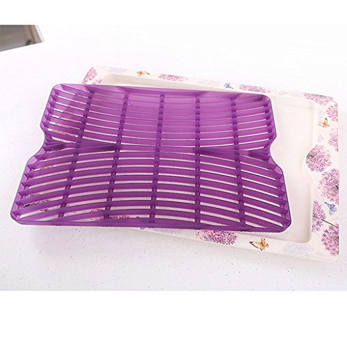 Plat à base de fruits et légumes ( couleur : Vi...