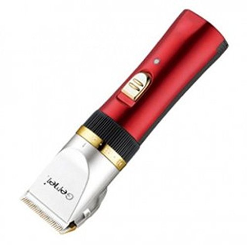 'GM professionnelle de 552 Batterie Tondeuse Ch...