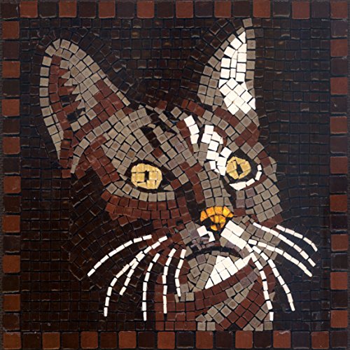 ALEA Mosaic kit de mosaïque, 20x20cm, Chat code EAN 4250134913479 