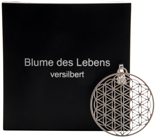Berk - Inner Worlds Berk Inner Worlds P-224-S Pendentif ésotérique en argent Fleur de vie code EAN 4250209828905 