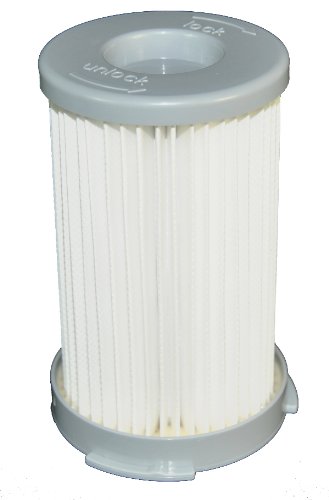 LeaBen® Filtre HEPA pour Electrolux EF 75B / Minion ATI 76.. / Vampyrette AS ...203 /Accelerator AAC 67.. / Progress PC71.. code EAN 4250258830928 