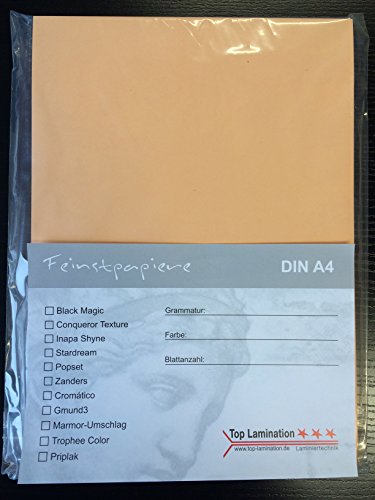 100 feuilles DIN A3 Papier couleur abricot 170 ...