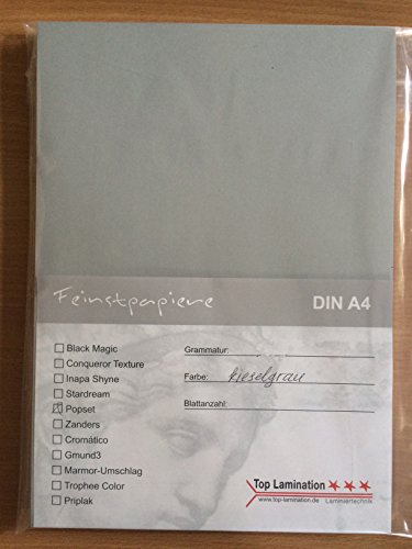 100 feuilles DIN A3 Papier Gris Carton 320 g/m²...