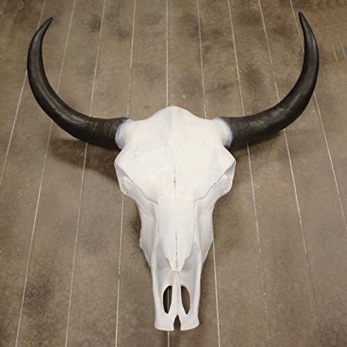 Coma Outlet Ars-bavaria crâne de taureau décoratif argenté xXL skullptur figurine murale de cornes de taureau chasse 65 cm 4250486123175 (4250486123175)