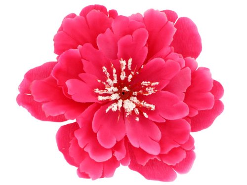 Trendmaus.de Clip grande fleur pour Tahitienne toutes les couleurs, haarblüte:Rose -vif_18 4250487222730 (4250487222730)