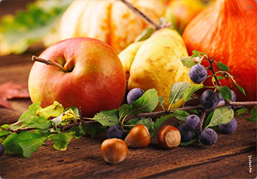 MySPOTTI protection anti-éclaboussures 434 pop ...