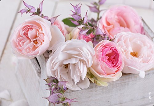 MySPOTTI protection anti-éclaboussures 458 pop ...