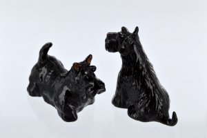 Salière et poivrière en céramique en forme de s...