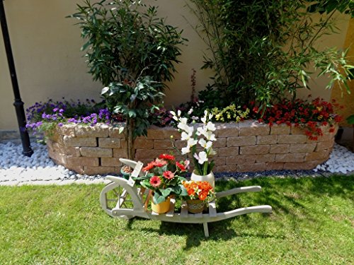 Brouette décorative pour fleurs en bois