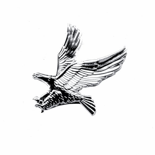 Adler eagle photo greifvogel trend métal button...