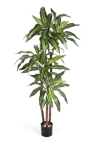 Plante vivace Dracaena Fragrans artificiel en p...