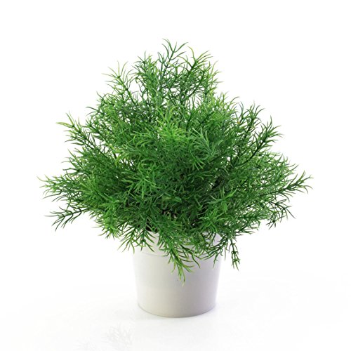 Petite plante verte artificielle, Asparagus dan...