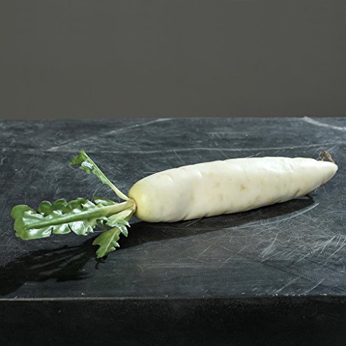 Radis blanc artificiel, quelques racines, 50 cm...