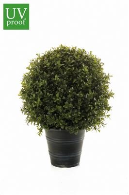 Buis boule artificiel TOM en pot, traité anti-U...