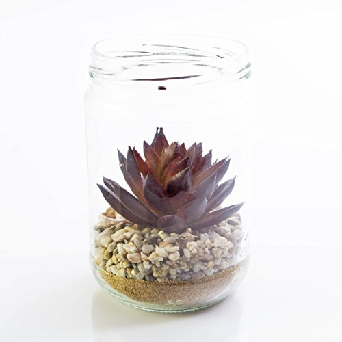 Agave artificielle dans un pot en verre, rouge-...