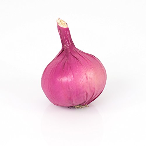 artplants Oignon artificiel, violet, 11 cm, Ø 7 cm - légume artificiel / fruit artificiel - artplants code EAN 4250835842672 