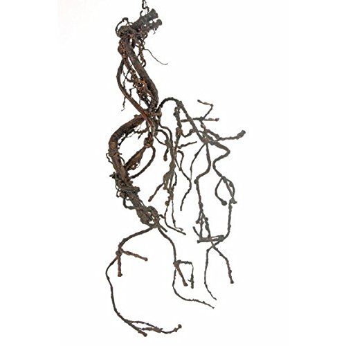 artplants Branche de chêne liège articielle, marron, 75 cm - branche décorative / branche artificielle - artplants code EAN 4250835849091 