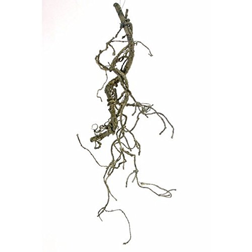 artplants Branche de chêne liège artificielle, marron-vert, 75 cm - branche décorative / branche artificielle - artplants code EAN 4250835849107 