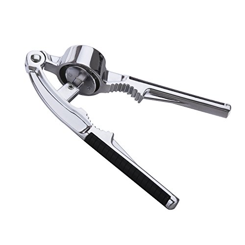 tinxi® Presse Ail en Acier Inoxydable avec Cass...