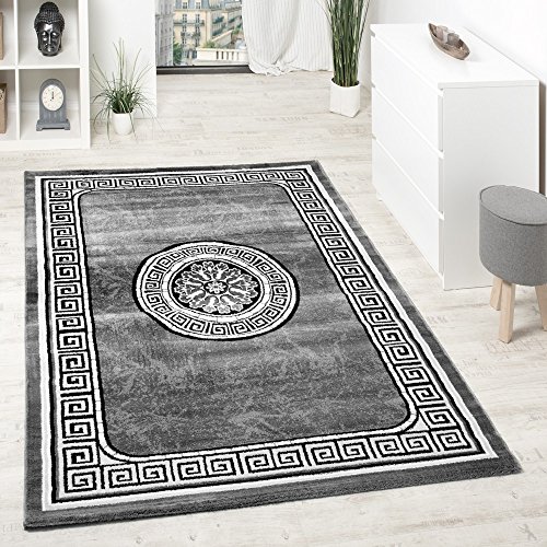 Tapis Design Bordure Fil Brillant Motifs Classi...