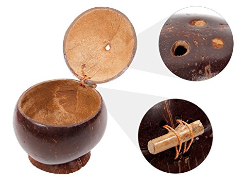 Coupe en bois en Forme de Noix de Coco avec cou...