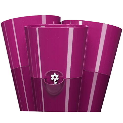 EMSA Pot à fines herbes FRESH HERBS Trio 3 x 1 ...