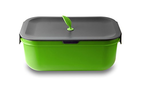Leox LeOx- Lunchbox Bento Box a compartiment la Boîte bento Boîte Repas Lunch Box Food Container - vert code EAN 4251024601322 