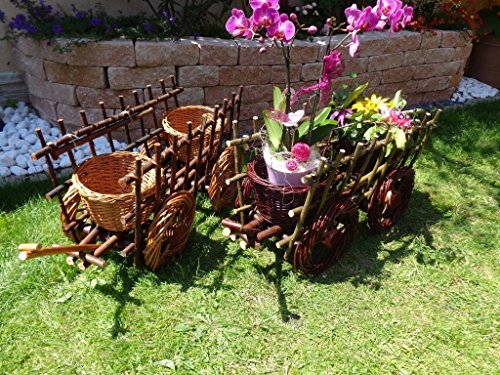 2 Remorques clair/échelle déco 45 suspension pa...