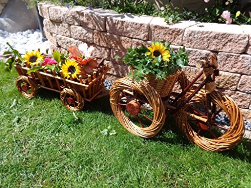 ÖLBAUM 2 x Trois Roue, de/Trike + pendantes 45 + 45 cm Marron clair en osier, matière résistant aux intempéries * *, décoration de jardin amusants, idéal comme Bac à fleurs, jardinière, panier Jardinière, conteneur, pflanztröge, fleurs en rotin, panier d'osier panier à plantes, pots de fleurs, brouette en bois pour bac à fleurs, jardinière, fleurs en pot, Jardinière, fleurs,,, maison en bois pot, pots de fleurs en zinc Jardinière code EAN 4251077942793 