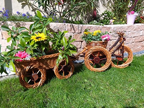 ÖLBAUM Lot de 2?: trois Roue, de/Trike + Charrette Marron clair 45 + 65 cm en osier, résiste aux intempéries * *, décoration de jardin amusants 100% naturel, idéal comme Jardinière, bac à fleurs, jardinière, conteneur, pflanztröge, fleurs en rotin, panier d'osier panier à plantes, pots de fleurs, brouette en bois pour bac à fleurs, jardinière, fleurs en pot, Jardinière, fleurs,,, maison en bois pot, pots de fleurs en zinc Jardinière code EAN 4251077942915 
