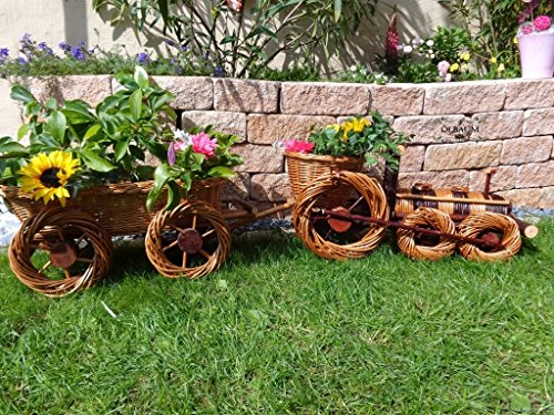 Lot de 2?: Train, décoration de jardin, Lok + p...