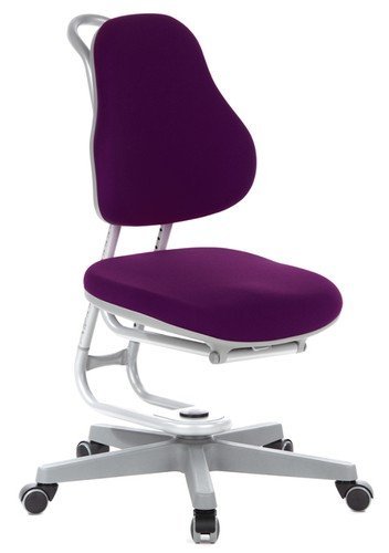 Rovo Chair Idimex chaise de table/chaise enfant buggy plastique atlantic violet code EAN 4251084638566 