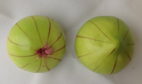 Oignons décoratifs kunstobst kunstgemüse décora...