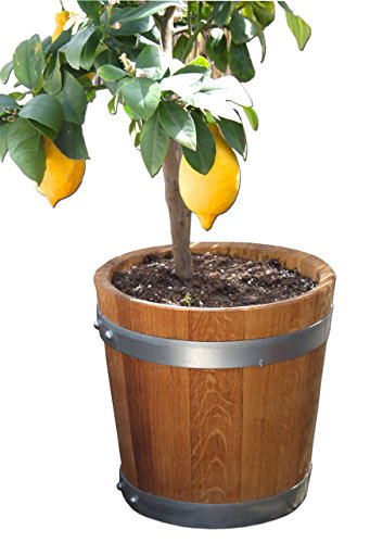 Nouveau fabriqué tonneau, banneau, bac à fleurs...