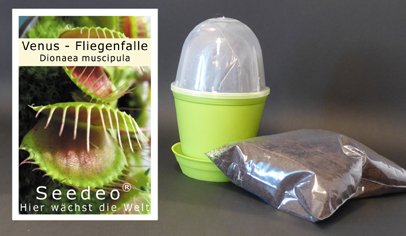 Seedeo Anzuchtset Seedeo Kit de culture de Venus attrape-mouche Dionée attrape-mouche (Dionaea muscipula) code EAN 4260180961775 