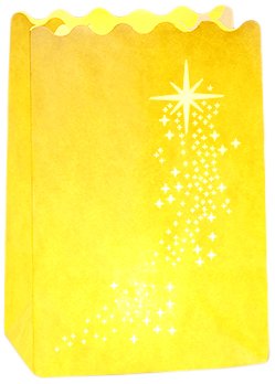 8581100 lampes d'atmosphère sachet lumineux lot...