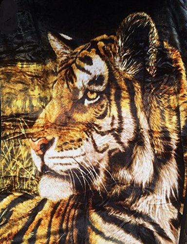 Natur-Fell-Shop Plaid couverture plaid couvre-lit réversible motif tigre - Noir 200 x 160 cm code EAN 4260231237262 