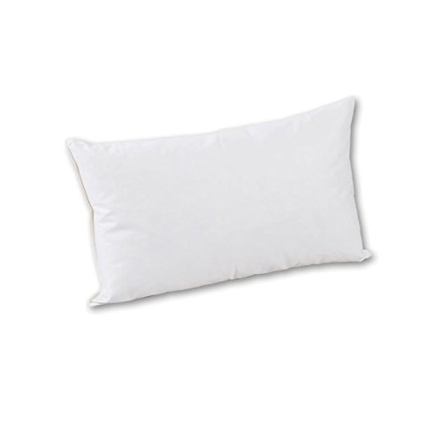 Betten-Anne Canapé Coussin 40 cm x 50 cm - Duvet et plumes Classe VII 350 g Crème code EAN 4260259553405 
