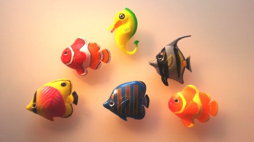 Poisson - 2, 5 poissons 1 hippocampe