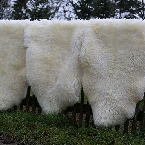 Peau d'agneau de champagne 80-90 cm