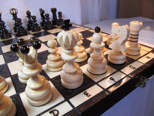 ChessEbook Jeu d'échecs en bois avec mallette P...